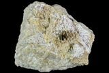 Brookite Crystal Cluster on Matrix - Pakistan #111325-1